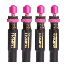 Load image into Gallery viewer, PINK Tyre Deflators
